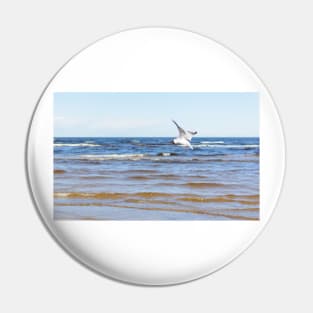 White seagull flying above the water to the left with its wings open Pin