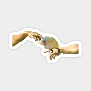 Creation of a Goffin's cockatoo Magnet