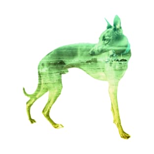 Green & Yellow Waves Whippet T-Shirt