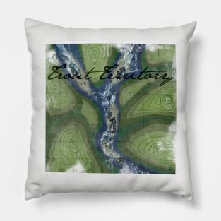 Trout Territory Pillow