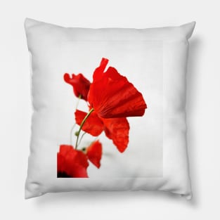 Red Poppies Pillow