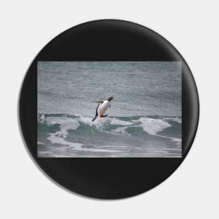 Surfing in gentoo's style Pin