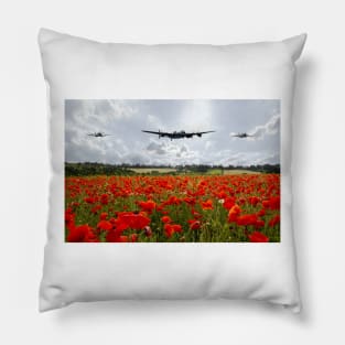 Poppy Flypast Pillow