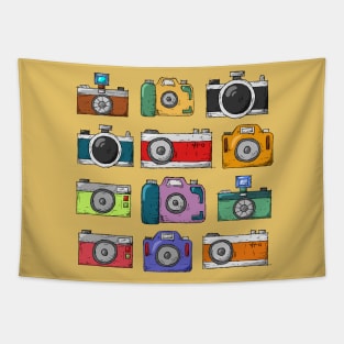 Cameras Tapestry