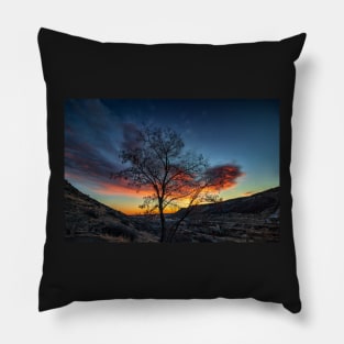 The Silhouette of a Tree Against Clouds Being Lit By the Sunrise Pillow