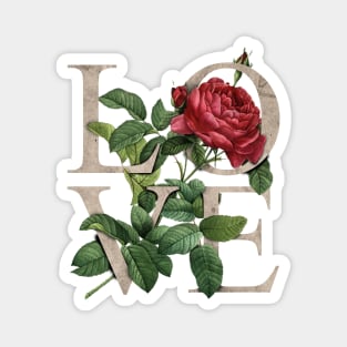 Roses & Love Romantic Stylish Gift Valentines Magnet