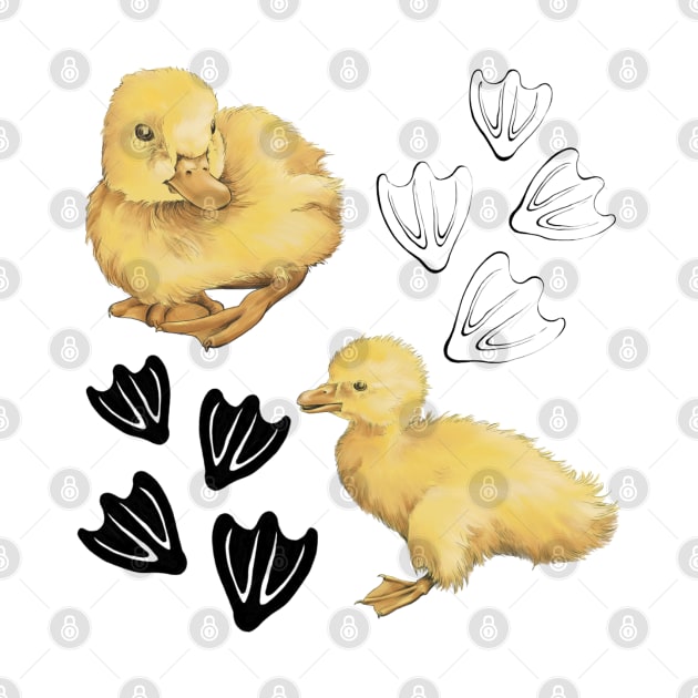 Ducklings by Anilia