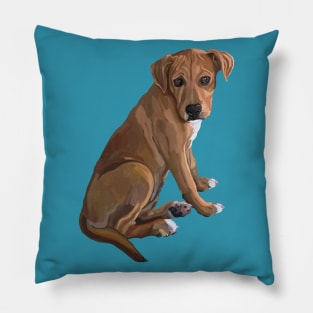 Sweet Brown Pitbull Mix Dog Pillow