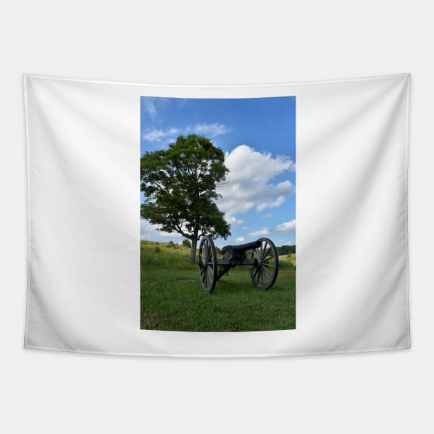 Civil War Cannon Tapestry by searchlight