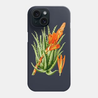 Aloe Vera vintage illustration Phone Case