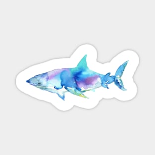 Shark by Jess Buhman Magnet