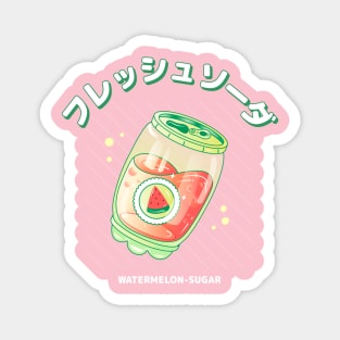 Cute Watermelon Soda Magnet