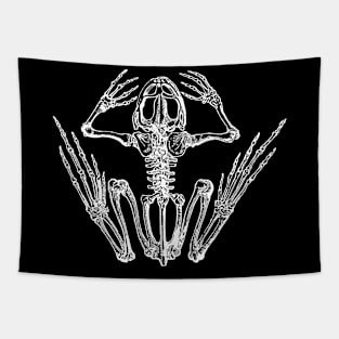 Frog skeleton. Tapestry