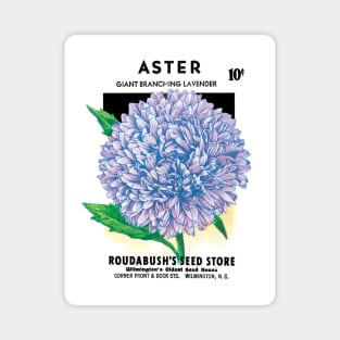 Vintage Aster Roudabush Seed Packet Magnet