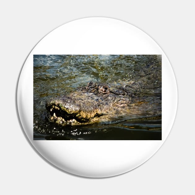 Emerging Gator 2 Pin by KensLensDesigns