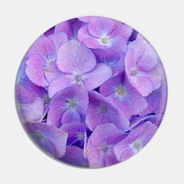 Hydrangea lilac Pin by CatyArte