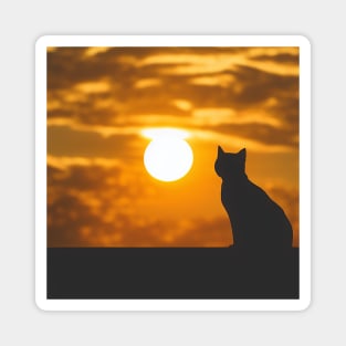 Black Cat Watching Sunset Magnet