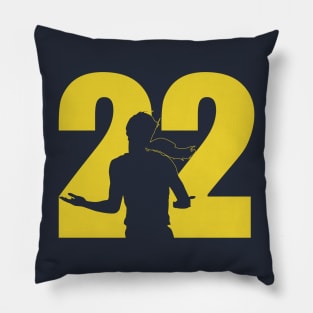 22 Pillow