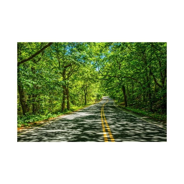 Race Point Road Cape Cod by Gestalt Imagery