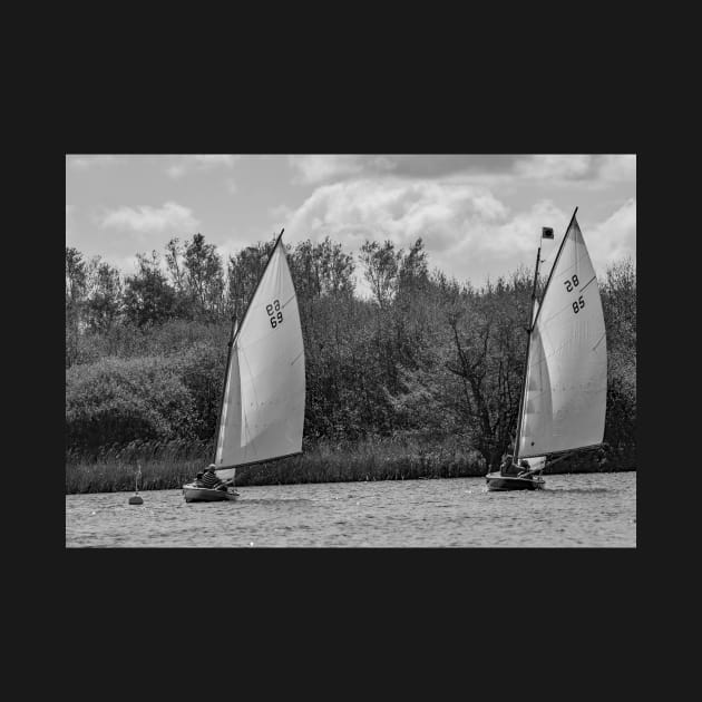 Two brown boats on the Norfolk Broads in the village of Wroxham by yackers1