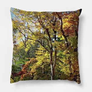 Mountainside NJ - Autumn Stroll Pillow