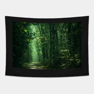 Sunlit Woodland Tapestry