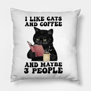 I Like Cats And Coffee And Maybe 3 People Pillow