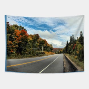 Colourful Venture - Algonquin Park Tapestry