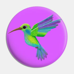 Pretty Hummingbird Pin