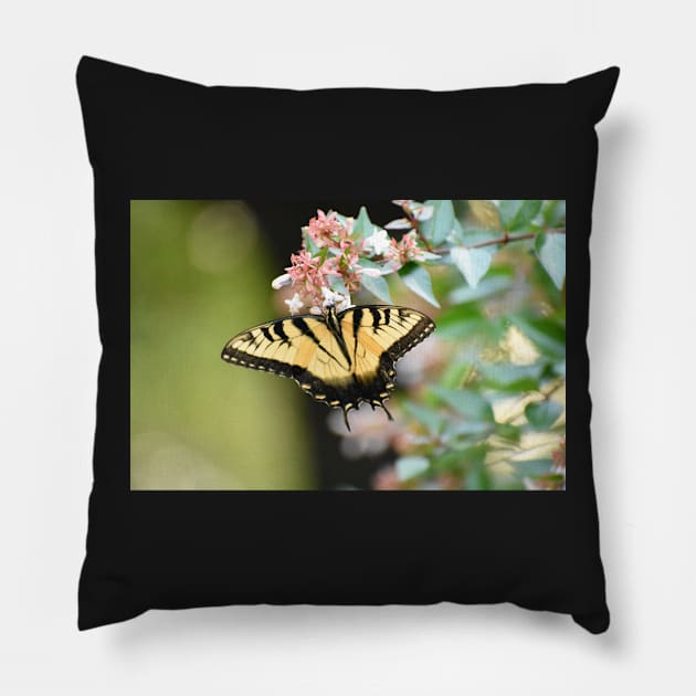 Yellow swallowtail Pillow by ToniaDelozier