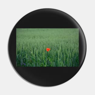 Poppy in Wheat Field Pin