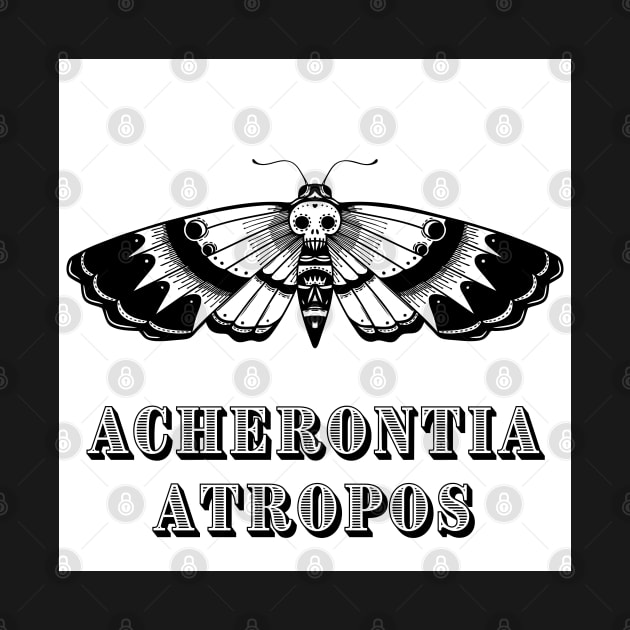 Deathhead Moth Interactive Art by ShoppeMorbid