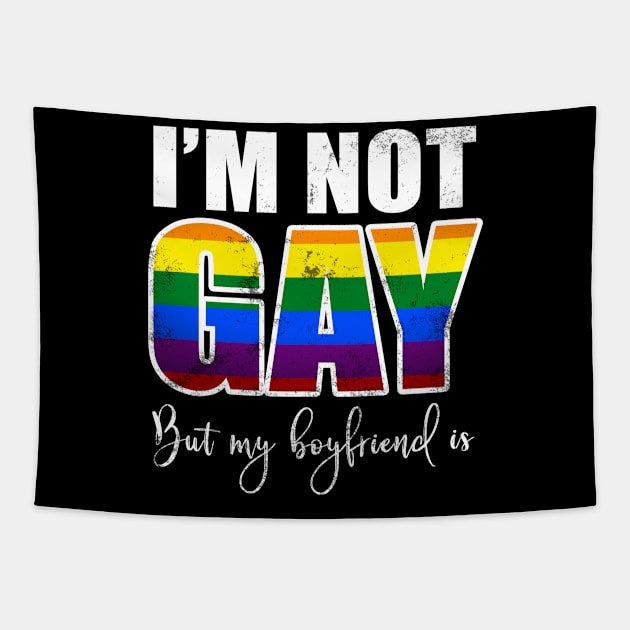 I'm Not Gay But My Boyfriend Is Tapestry by reunitedbummer160