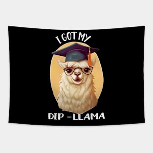 i got my dipllama Tapestry