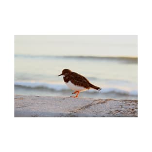 Sandpiper bird enjoying some relaxing time by the sea T-Shirt