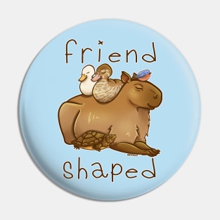 Friend Shaped Pin