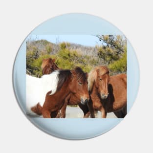 Wild horses, Assateague Island, Wildlife, Gifts Pin