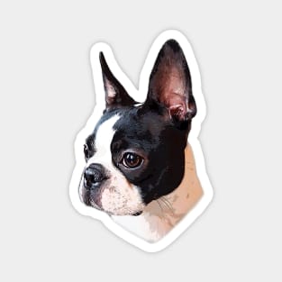 Boston Terrier Face Puppy Dog Magnet