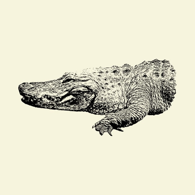 Alligator by Guardi