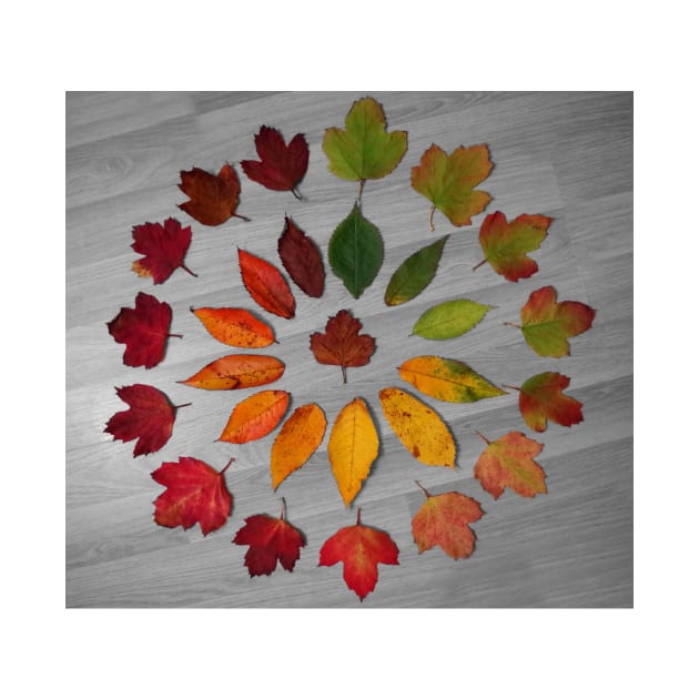 Cycle of leaf autumn leaf art by Simon-dell