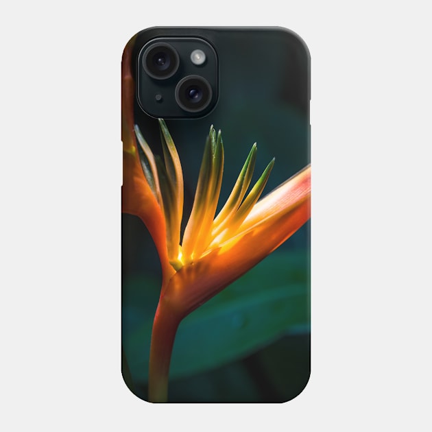 Sunlit Orange Yellow Heliconia Flower Phone Case by ernstc