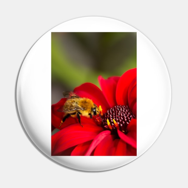 Busy Bee Pin by GenuineDabber