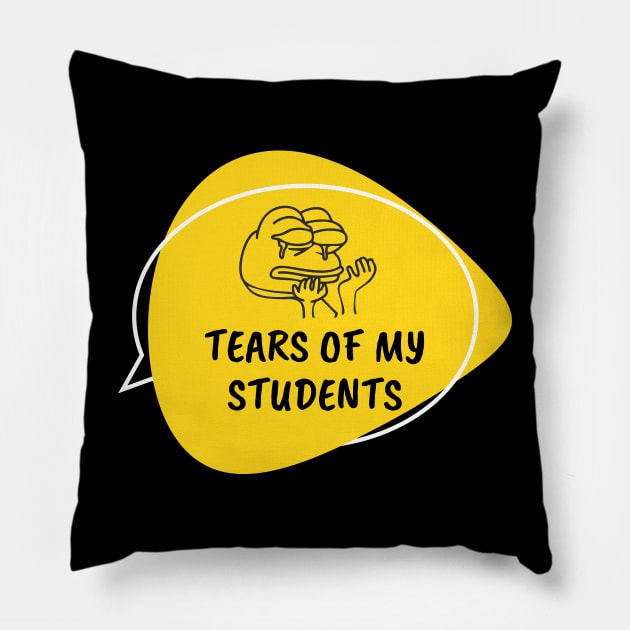 Tears of my Students Pillow by Tee Shop