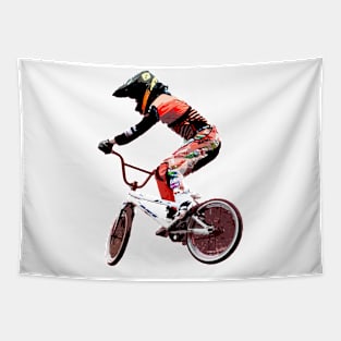 bmx Tapestry