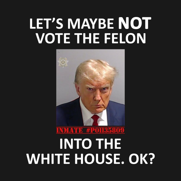 Let’s Maybe NOT Vote the Felon Into The White House.  OK? by topher