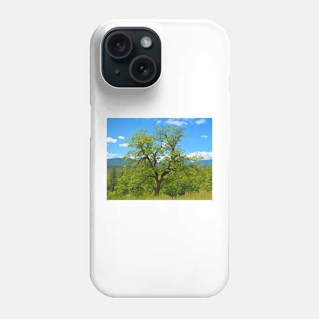 Valley Oak of Northern California Phone Case by Burtney