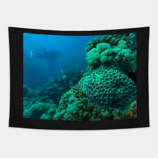 Scuba Diving in the Red Sea Tapestry