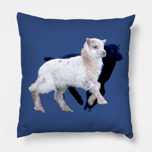 Lamb black and white / Swiss Artwork Photography Pillow