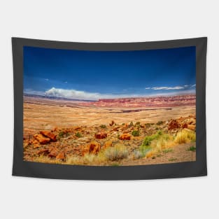 Vermilion Cliffs National Monument Tapestry