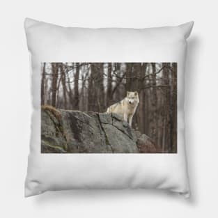 On the ledge Pillow